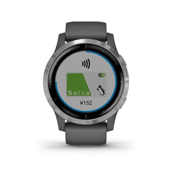 GARMIN vivoactive 4 Shadow Gray/Silver 010-02174-0...