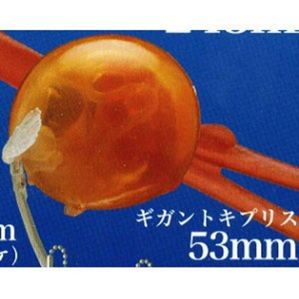 ネイチャーテクニカラーMONO PLUS 深海生物 ボールチェーン＆マグネット ［5.ギガントキプリ...
