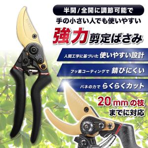 剪定ばさみ  サクサク切れる 握りやすい 庭木の剪定 2段階調節可能 (金 + 黒色) フッ素コーティング 剪定バサミ 剪定鋏 せんていばさみ FORESIA フォレシア