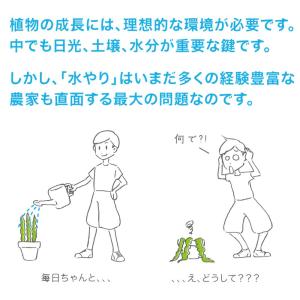 サスティー Mサイズ 1〜10本セット SUS...の詳細画像3