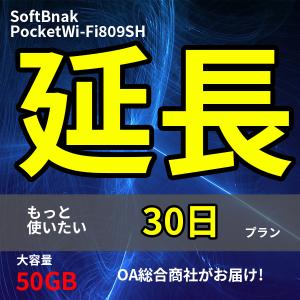 【レンタル】【延長専用】WiFi  1ヶ月 延長プラン Poket Wi-Fi（ルーター） ポケットWiFi モバイルWiFi WiFiレンタル wifi 30日延長