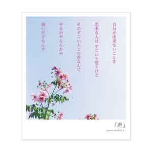 詩人きむ 言葉の花束ポストカード 「差」 名言 格言 詩人 言葉 ことば 夢 勇気 元気 卒業 旅立...