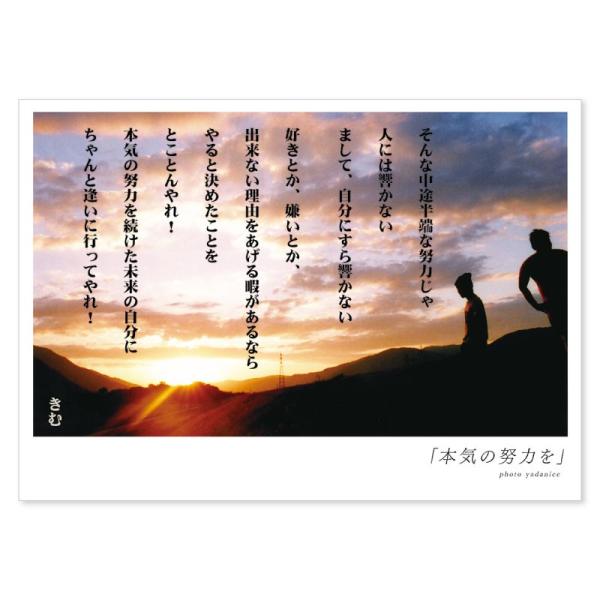 詩人きむ 言葉の応援ポストカード 「本気の努力を」 名言 格言 詩人 言葉 ことば 夢 勇気 元気 ...