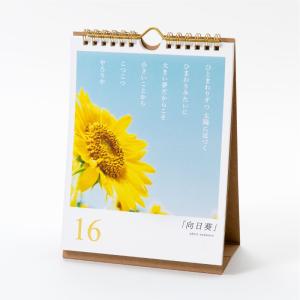 詩人きむ 31作品〈日めくり〉言葉の花束カレン...の詳細画像5