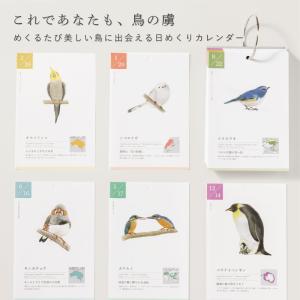 366日の誕生鳥カレンダー 世界の美しい鳥 カ...の詳細画像1