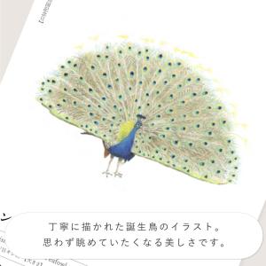 366日の誕生鳥カレンダー 世界の美しい鳥 カ...の詳細画像3
