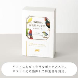 366日の誕生鳥カレンダー 世界の美しい鳥 カ...の詳細画像4