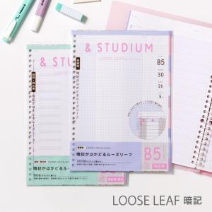 &studium ルーズリーフ 暗記フォーマット ＜B5＞ スタディプランナー  STUDY PLANNER (gabl-03-04)｜いろはショップオンライン