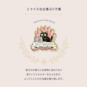 MY AWARD PiNS ピンバッジ ピンズ...の詳細画像4