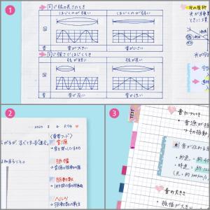 &STUDIUM SUMMARY NO...の詳細画像4