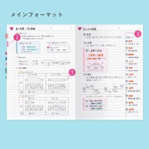 【6冊までメール便可】&STUDIUM...の詳細画像3