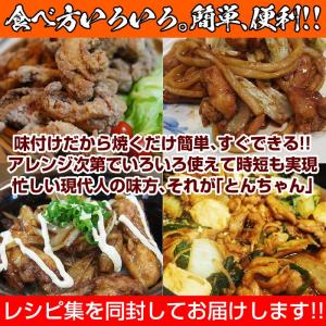 高島とんちゃん 国産若鶏モモ・ムネミックス50...の詳細画像4