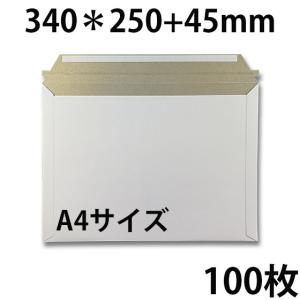 ビジネスレターケース A4サイズ 50枚 EMS-A4 | ビジネス 郵便 郵送用