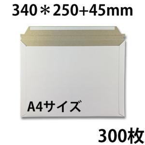 ビジネスレターケース A4サイズ 50枚 EMS-A4 | ビジネス 郵便 郵送用