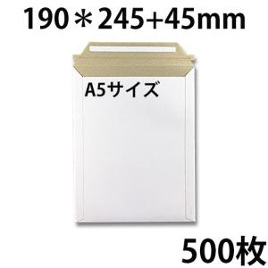 ビジネスレターケース A5サイズ 500枚 EMS-A5 | ビジネス 郵便 郵送用 配達 手紙 封筒 レターケース宅配 配達 パック