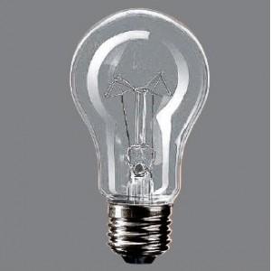 TOSHIBA TAI220V60WE 60w耐震電球 TOSHIBA（東芝） 耐振電球 クリヤー 220V用 60W E26口金 TAI220V60WE