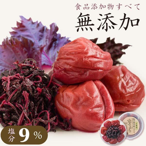梅干し 無添加 減塩 無添加梅干し しそ 南高梅 昔ながら 300g なちゅら 塩分9% 150g×...