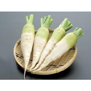 暮坪かぶ　6箱セット（1箱4本入）（）