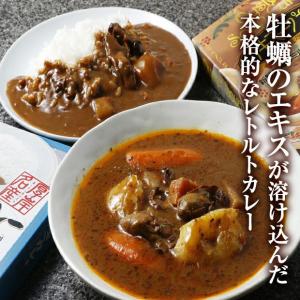 かきカレー＆スープカレーセット 高島食品／北海道厚岸町 ご当地レトルトカレー 厚岸産新鮮牡蠣たっぷり カキ｜tonxton-market