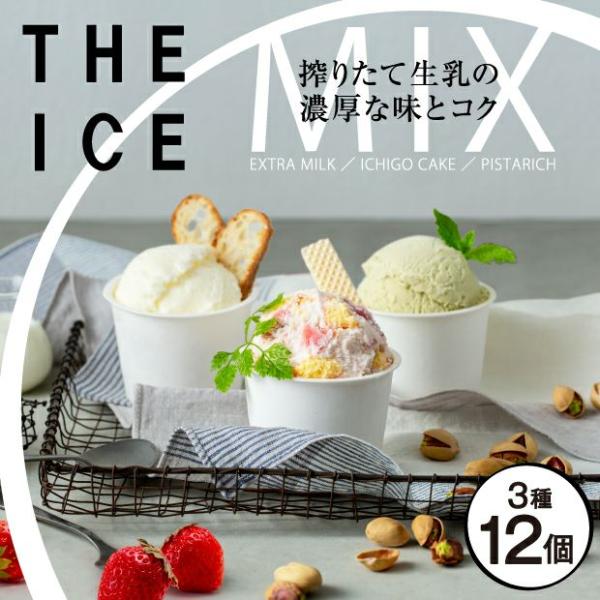 THE ICE 3種ミックス 12個セット ちえのわ事業協同組合／北海道別海町 カップアイスクリーム...