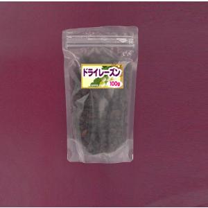 ドライフルーツ レーズン （１００ｇ）