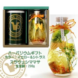 コーヒー & ハーバリウムギフト スラウェシママサ 生豆時200g イエローシトラス HM-YC｜tonya