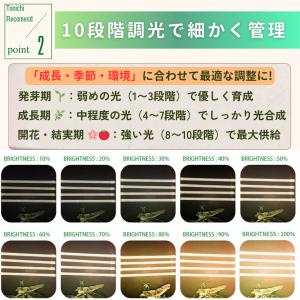 植物育成ライト led 観葉植物 ランプ 太陽...の詳細画像4