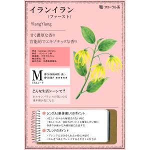 イランイラン 精油 オイル 10ml エッセン...の詳細画像2