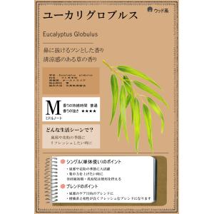 ユーカリ グロブルス 精油 オイル 10ml ...の詳細画像2
