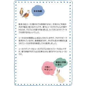 20%OFF ユーカリ ラディアータ 精油 オ...の詳細画像2