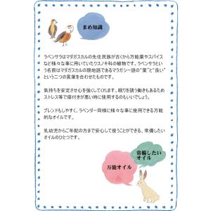 木のセール10%OFF ラヴィンサラ 精油 オ...の詳細画像2