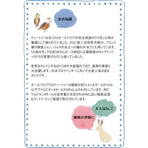ティートリー 精油 オイル 50ml ティーツ...の詳細画像2