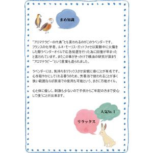 ラベンダー オイル 精油 50ml エッセンシ...の詳細画像2