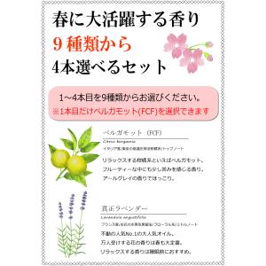 お部屋でゆっくり過ごす 9種類から 4本選べる...の詳細画像3