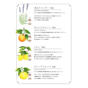 お試し アロマ セット 10ml 4本 精油 ...の詳細画像1