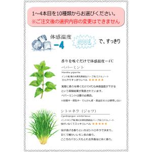夏すっきり祭り 10種類から4本選べるセット ...の詳細画像3