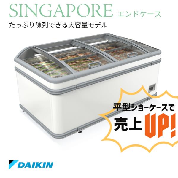 冷凍プラグインショーケース　ダイキン　平型　業務用　冷凍ショーケース　SINGAPORE　エンドケー...