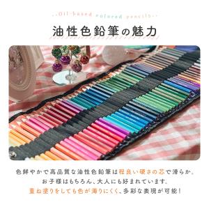 色鉛筆 36色 50色 子供 プレゼント 油性...の詳細画像1