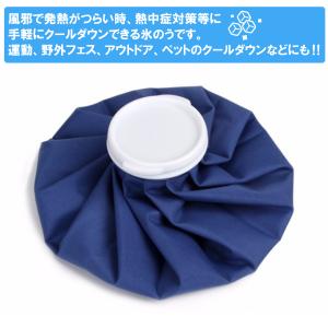 氷嚢 スポーツ ゴルフ 氷のう アイシングバッ...の詳細画像1