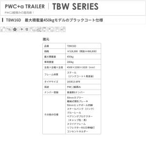 サントレックス 2艇積みPWCトレーラー TB...の詳細画像1