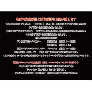 C Hr用ヒッチメンバー タグマスター Std 新形状f 4 Www Ktoridesfoundation Org