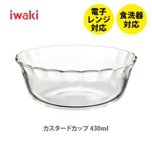 PYREX（パイレックス） ふち飾り皿 イワキ iwaki 耐熱ガラス （外径