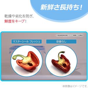 ティファール T-FAL マスターシール フレ...の詳細画像5