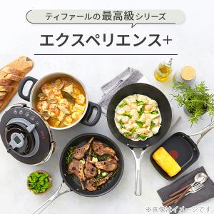 T-FAL ティファール エクスペリエンス+ ...の詳細画像1