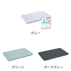 issin イッシン スマートバスマット ソフ...の詳細画像1