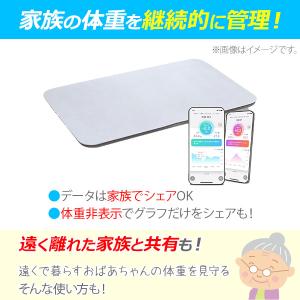 issin イッシン スマートバスマット ソフ...の詳細画像4