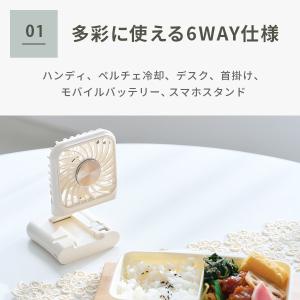 【送料無料】Elaice エレス iFan F...の詳細画像2