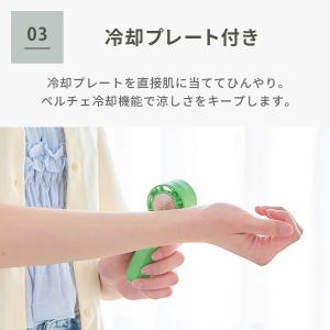 【送料無料】Elaice エレス iFan P...の詳細画像4