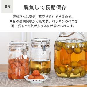 セラーメイト 取手付密封びん 4L 30004...の詳細画像5