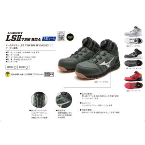 MIZUNO（ミズノ） 安全靴 オールマイティ HWII 11L【F1GA240001/09